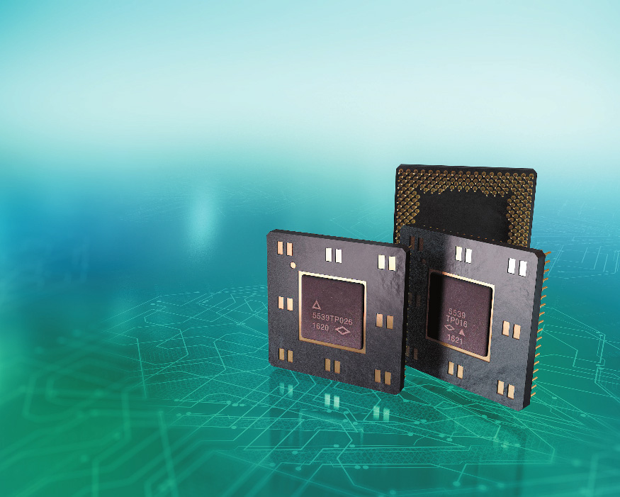VLSI SoCs with Integrated Microprocessor Cores